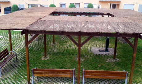 Brezo sobre pérgola en Comunidad de Propietarios.