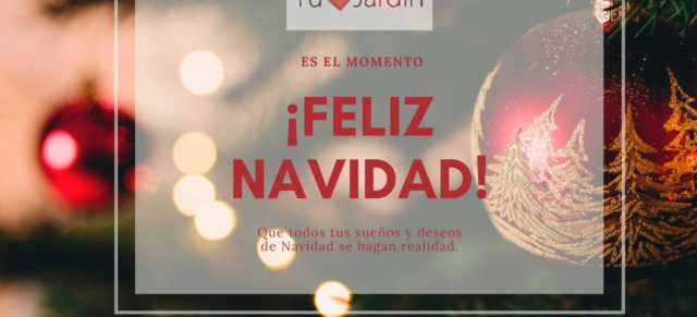 Feliz Navidad-Eguberri On!